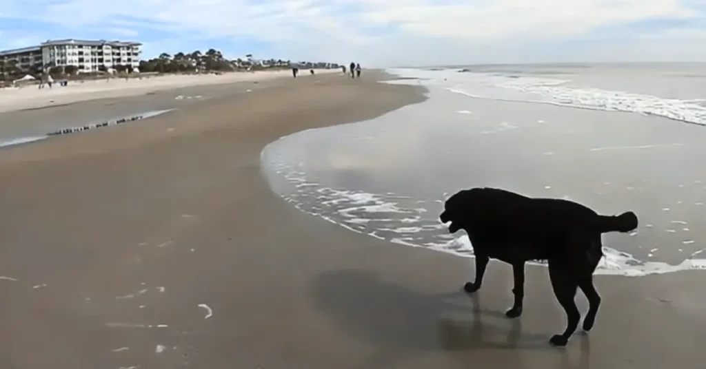 Coligny Beach Park, Hilton Head, South Carolina