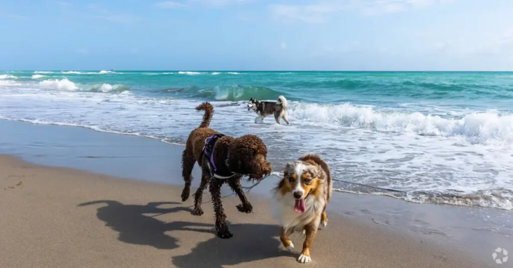 Hollywood Beach in Florida